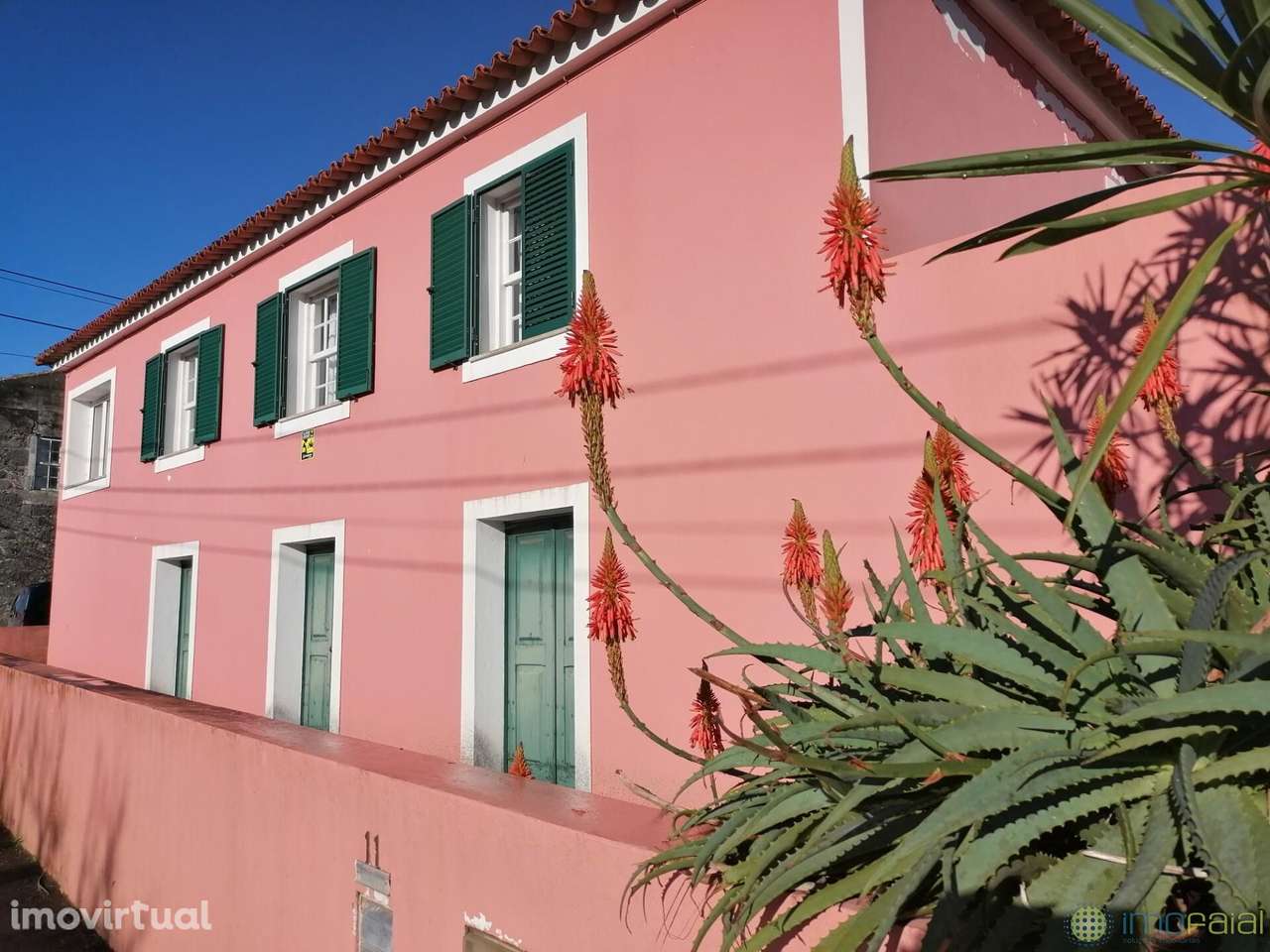 T3 c/Marquise| Flamengos - Grande imagem: 2/43