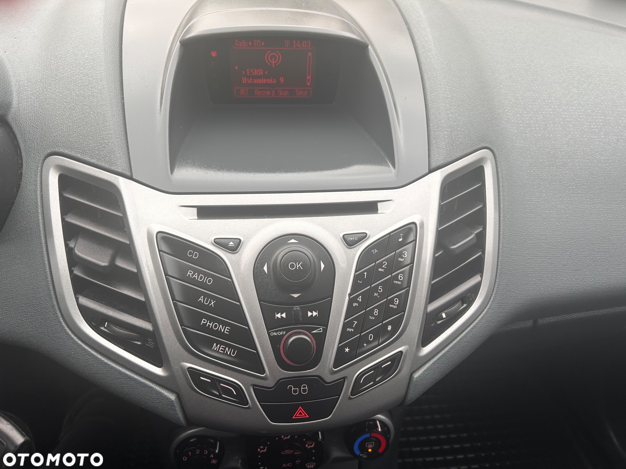 Ford Fiesta 1.4 TDCi Platinium X - 4