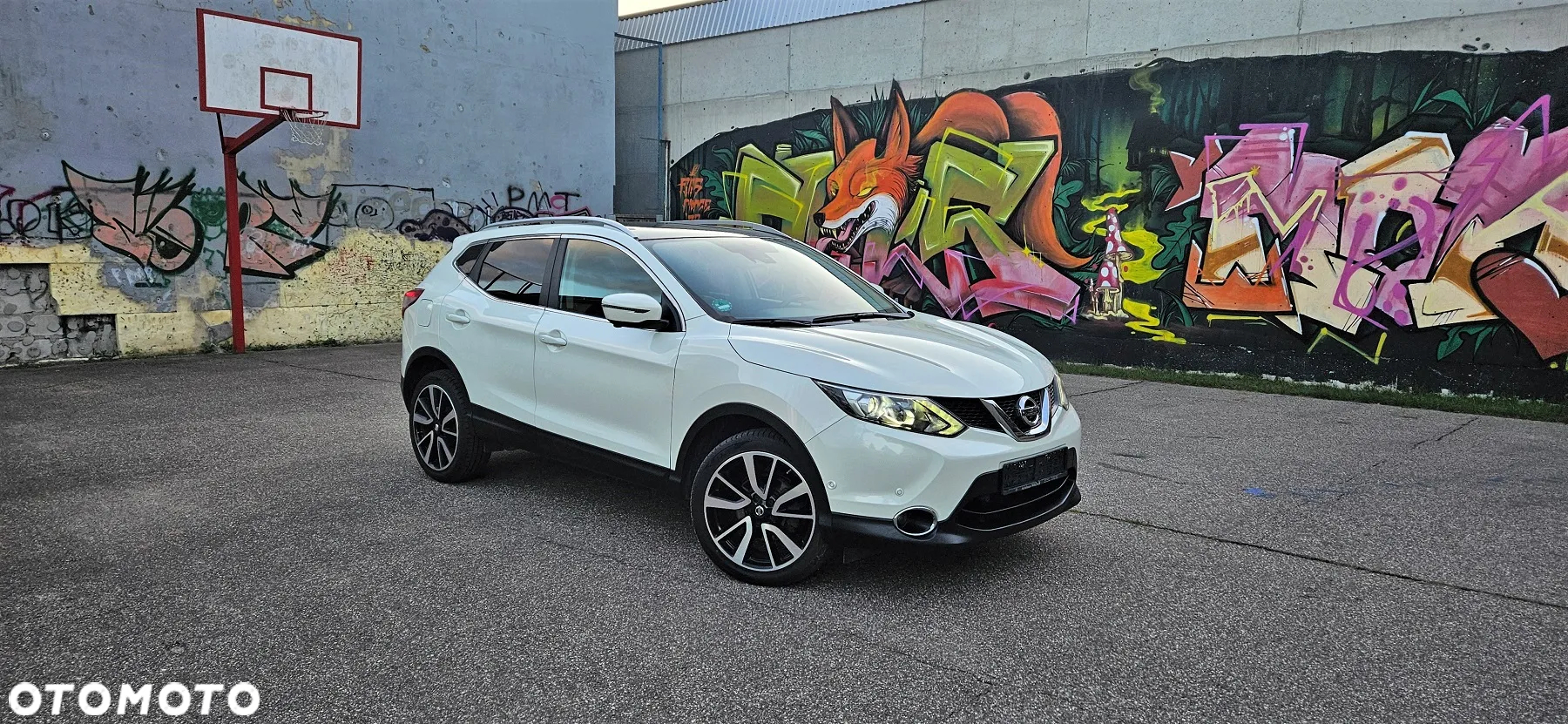 Nissan Qashqai 1.6 dCi 4x4 Tekna - 2