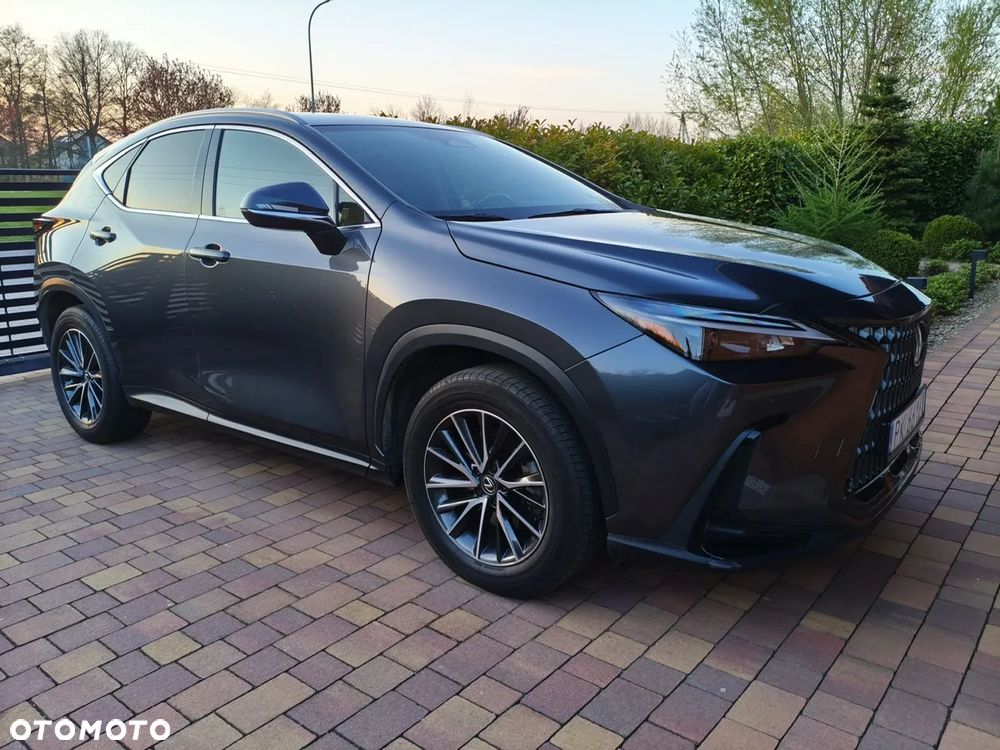 Lexus NX 350h Prestige 2WD - 1