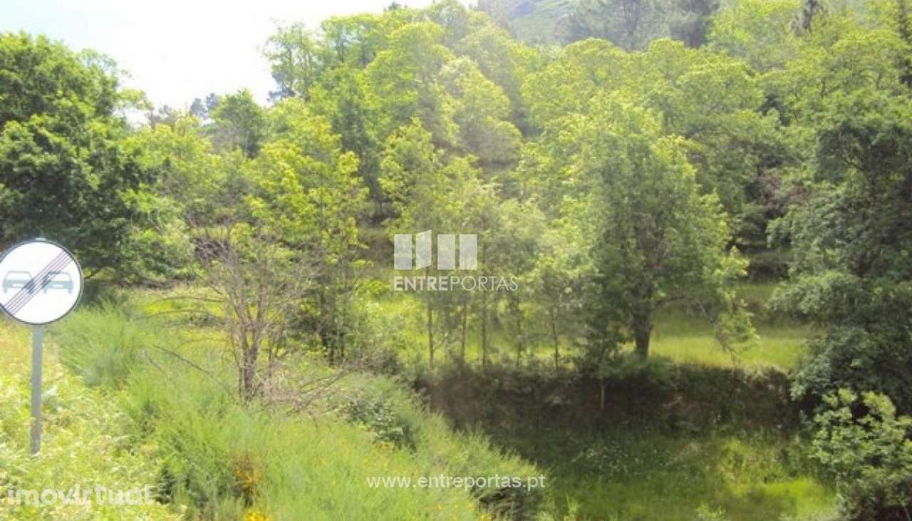 Venda Terreno, Tendais, Cinfães - Grande imagem: 5/27