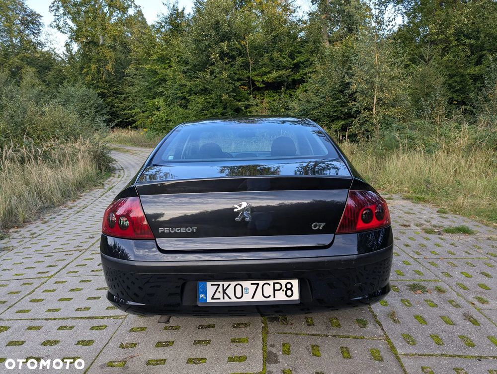 Peugeot 407 - 6