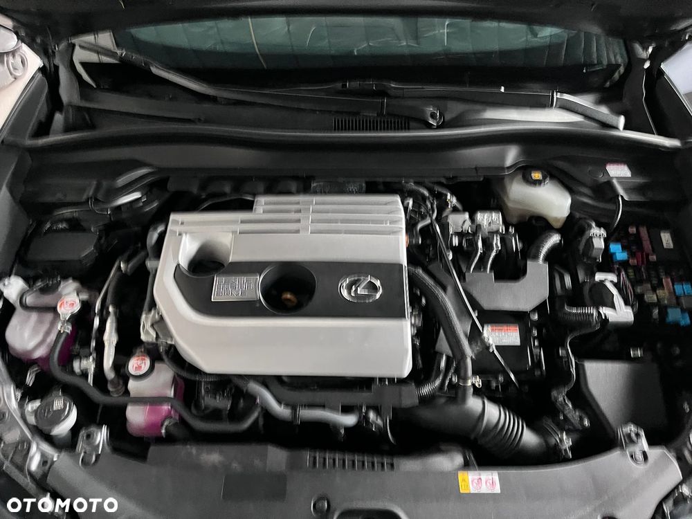 Lexus UX 250h - 19