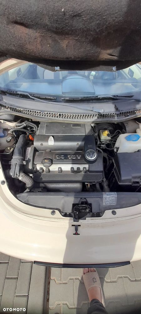 Volkswagen Beetle - 9