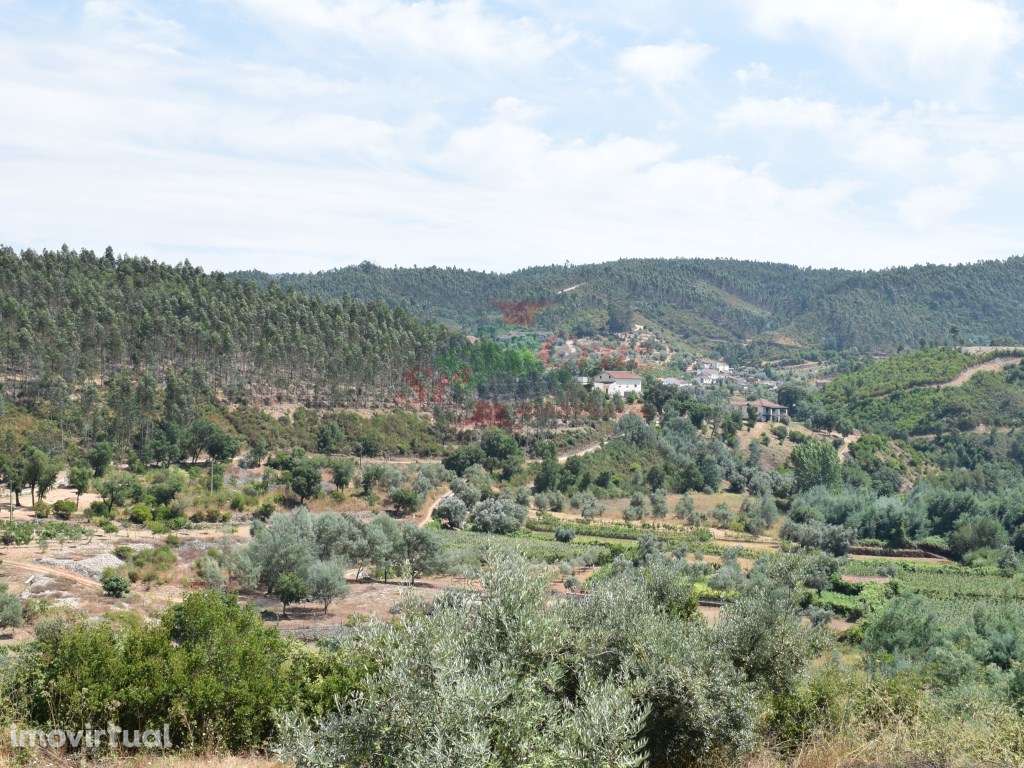 Quinta - Lavegadas, Vila Nova de Poiares - Grande imagem: 3/60