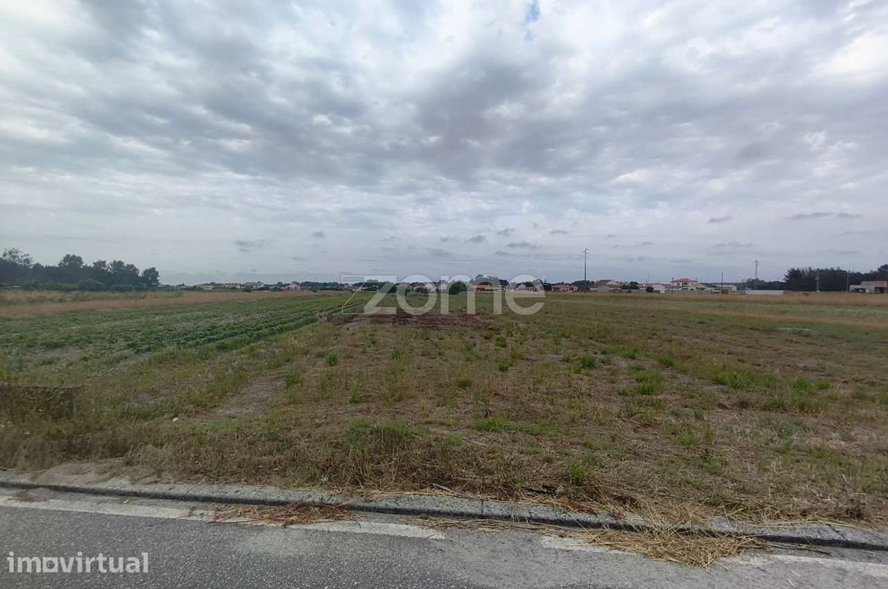 Terreno Urbano com 2.500 m² em Lombomeão – Vagos - Grande imagem: 4/8