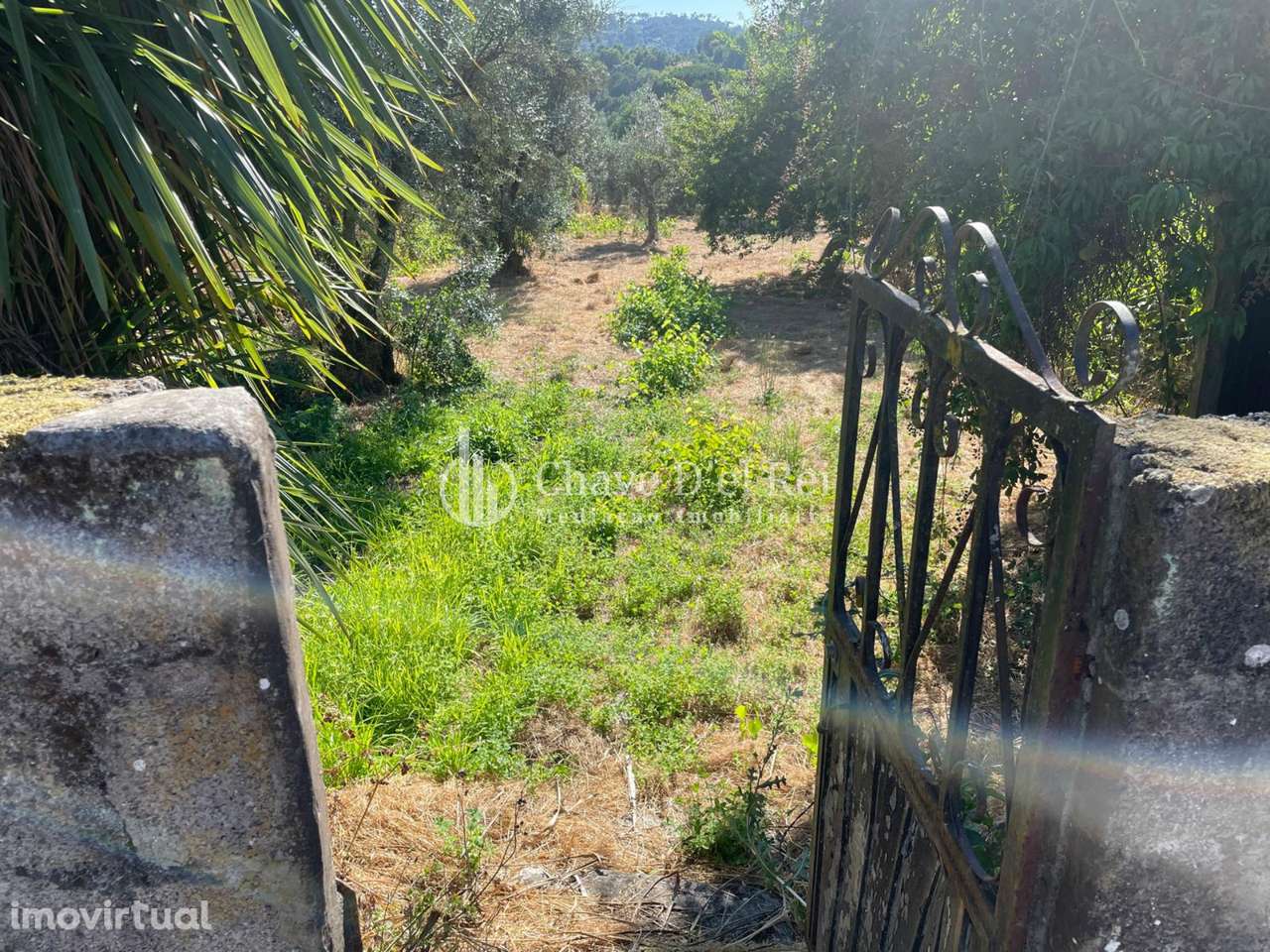 Terreno Rústico  Venda em Santar e Moreira,Nelas - Grande imagem: 5/14