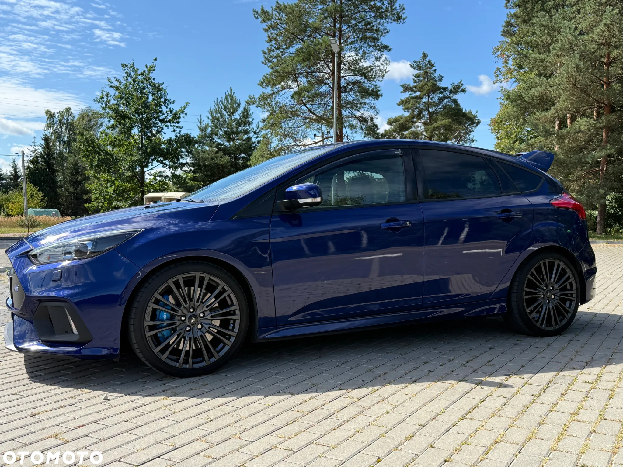Ford Focus 2.3 EcoBoost S&S Allrad RS - 17