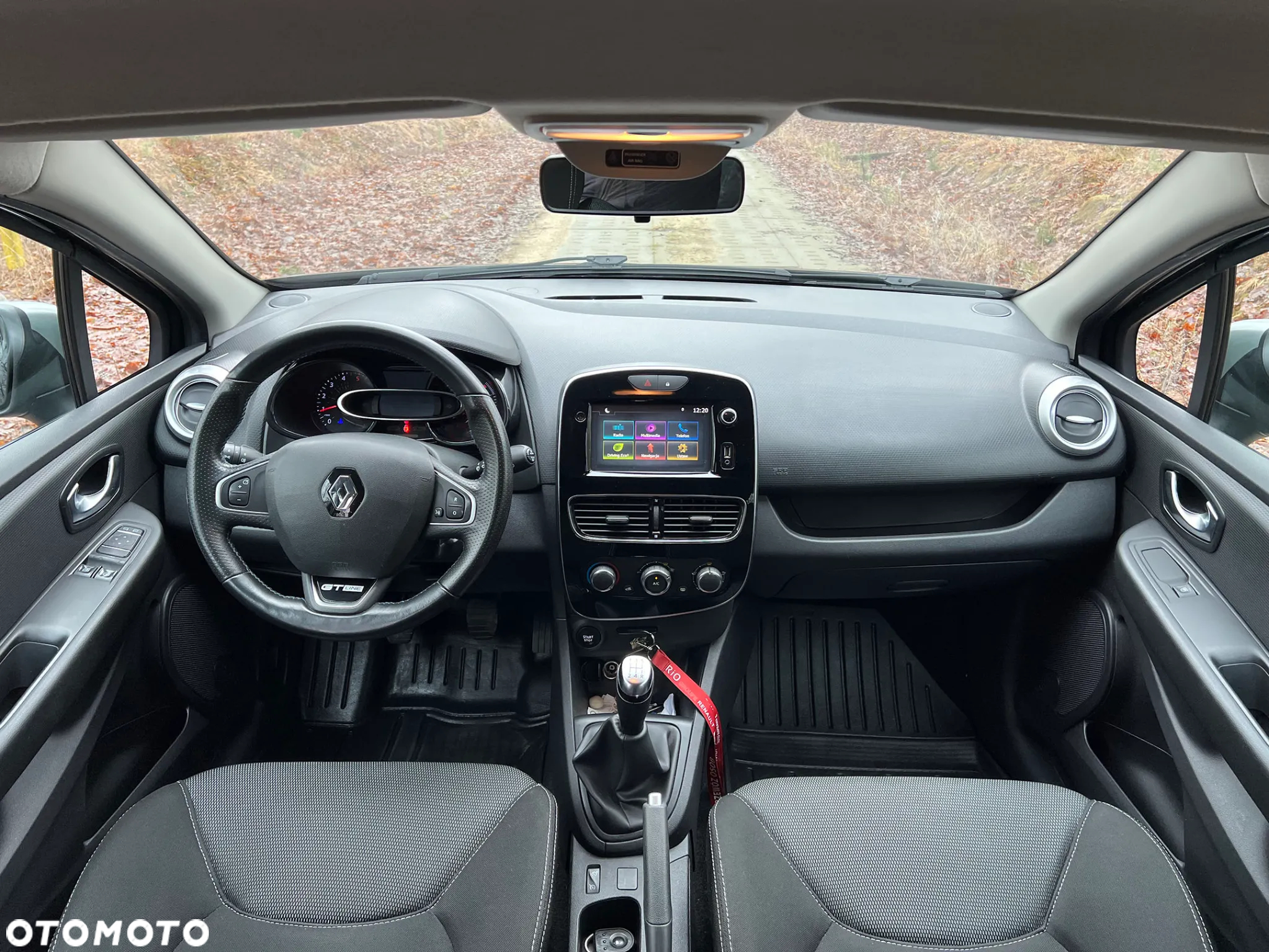 Renault Clio - 17