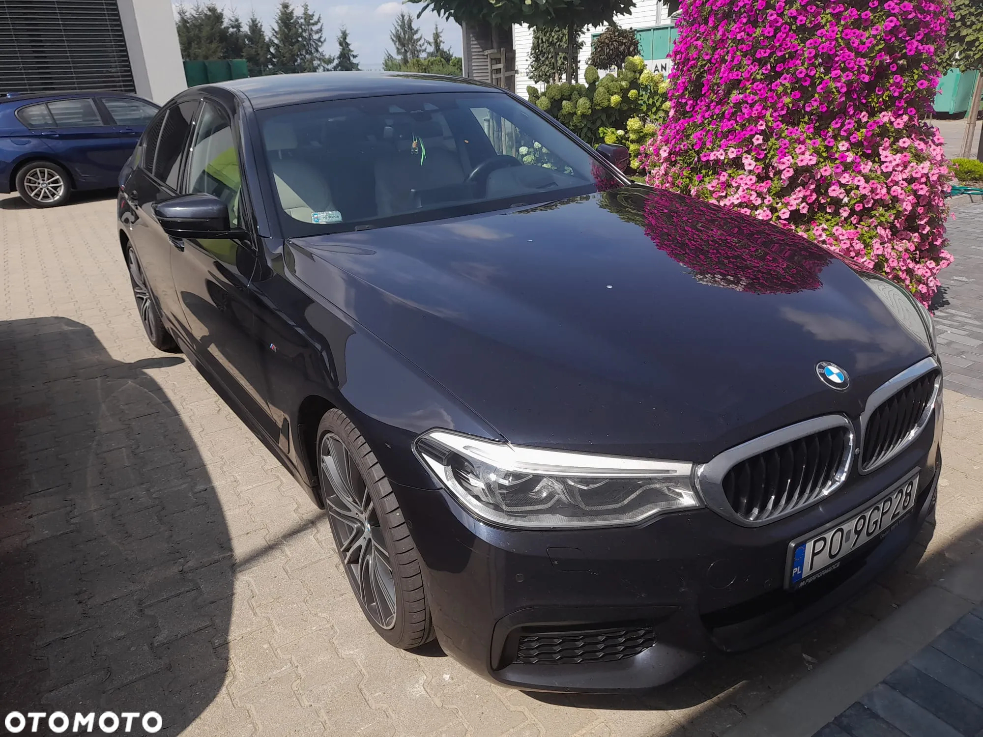 BMW Seria 5 530d xDrive - 9