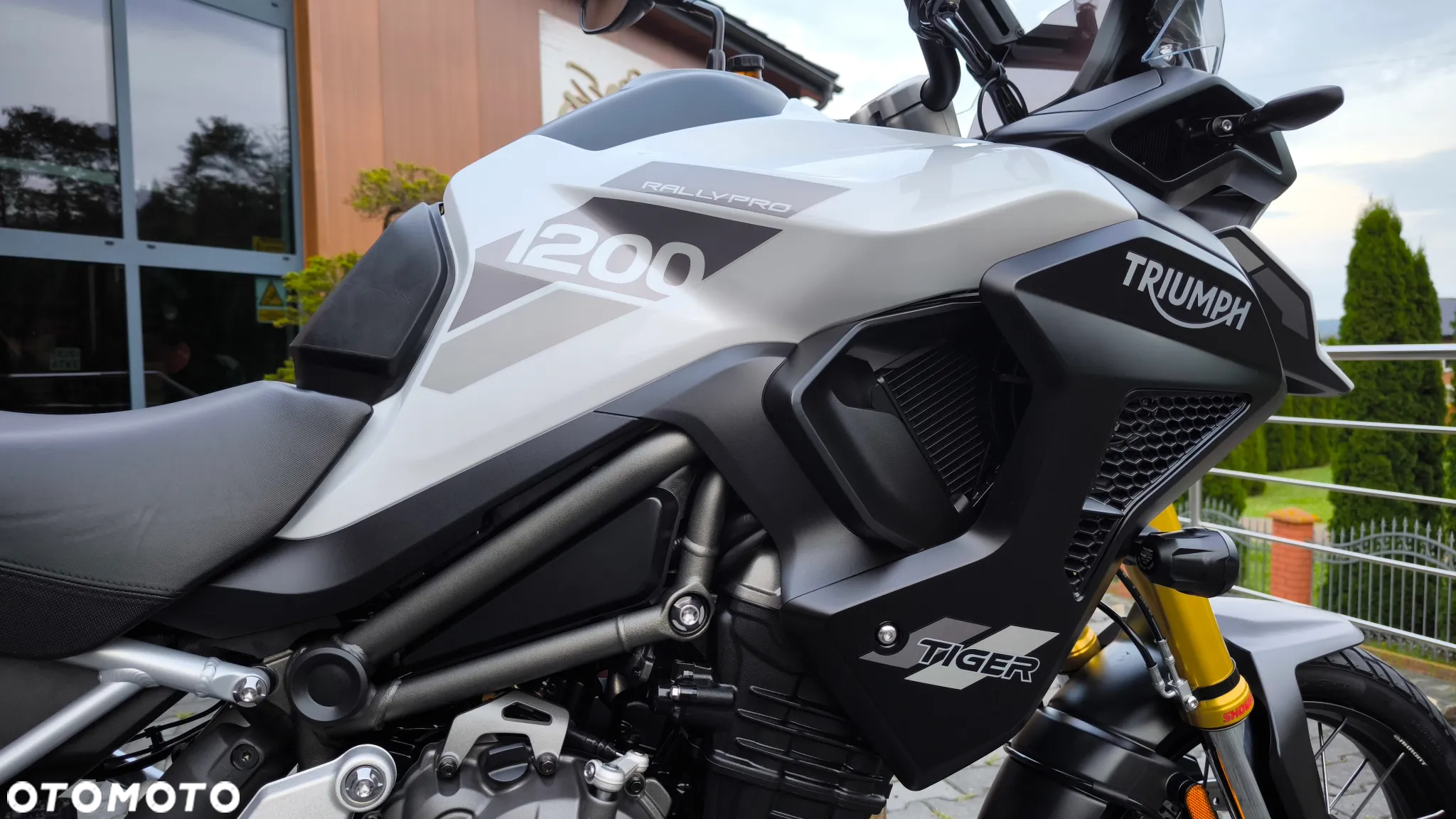 Triumph Tiger - 21