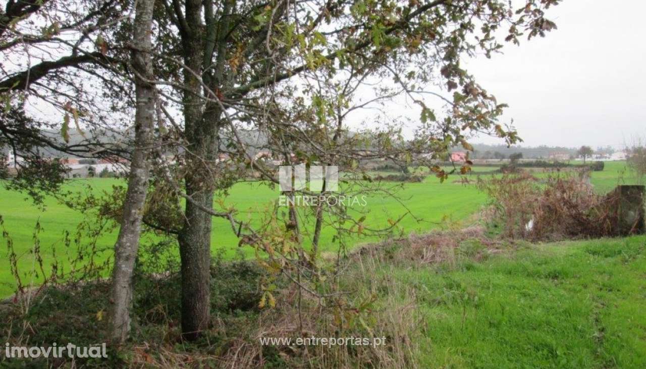 Venda de Terreno em Rio Mau, Vila do Conde - Grande imagem: 2/5