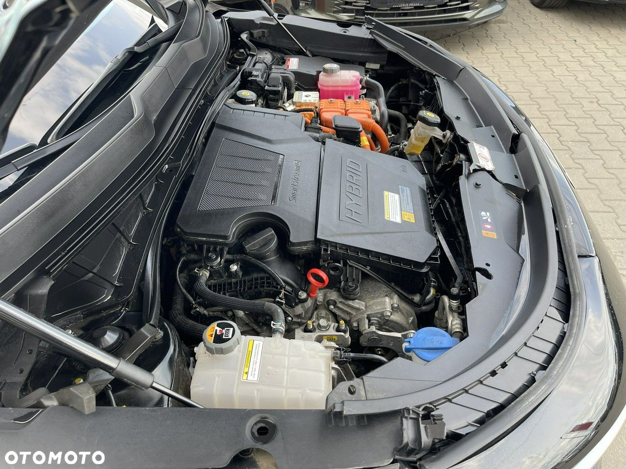 Kia Niro 1.6 GDI HEV 2WD OPF Vision - 14