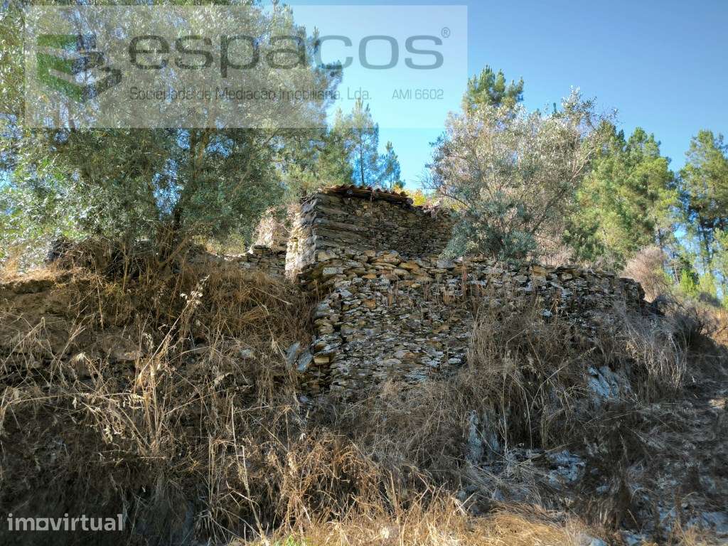 Terreno Agrícola - Grande imagem: 4/13