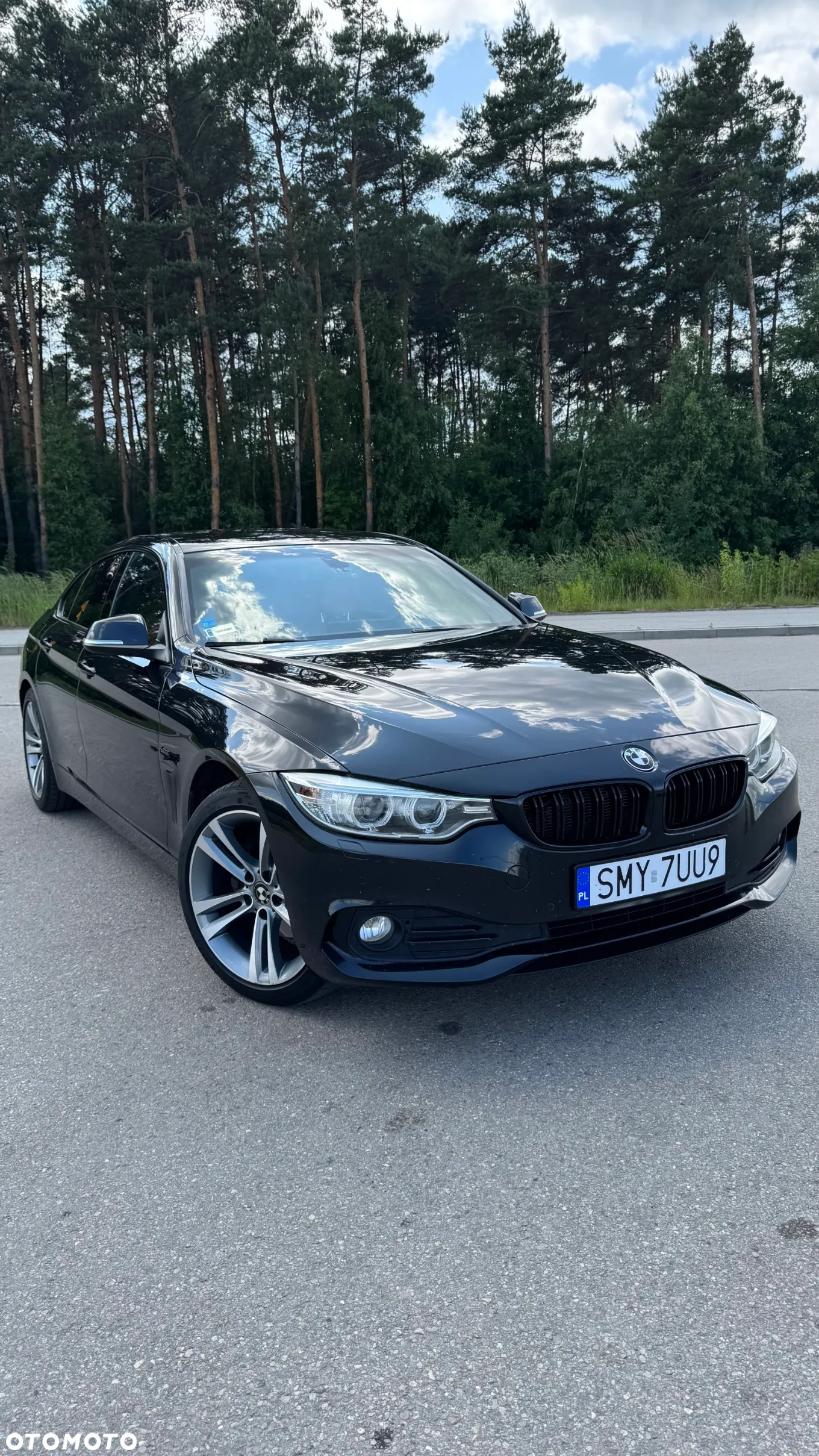 BMW Seria 4 420d Luxury Line - 6