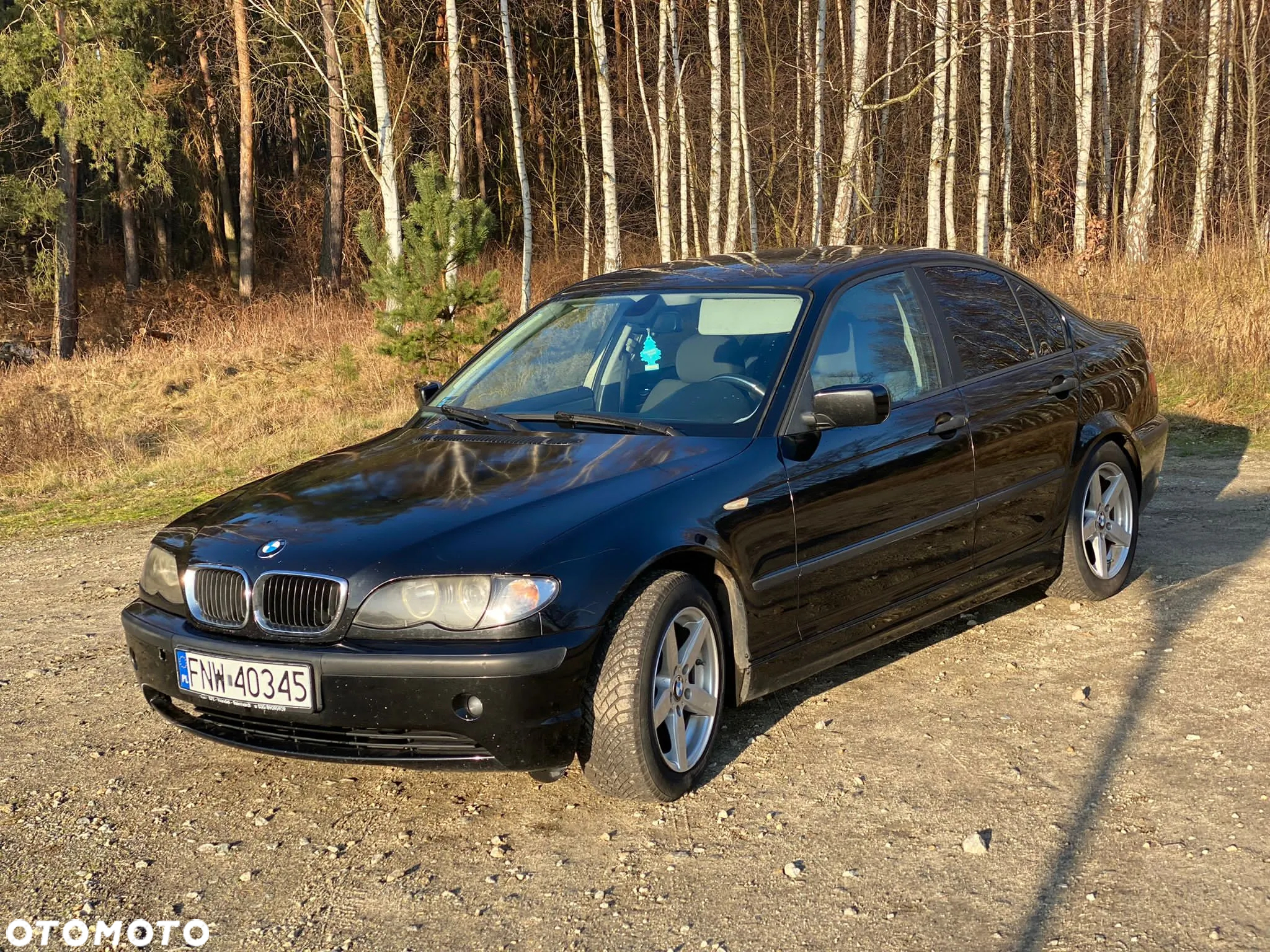 BMW Seria 3 316i - 3