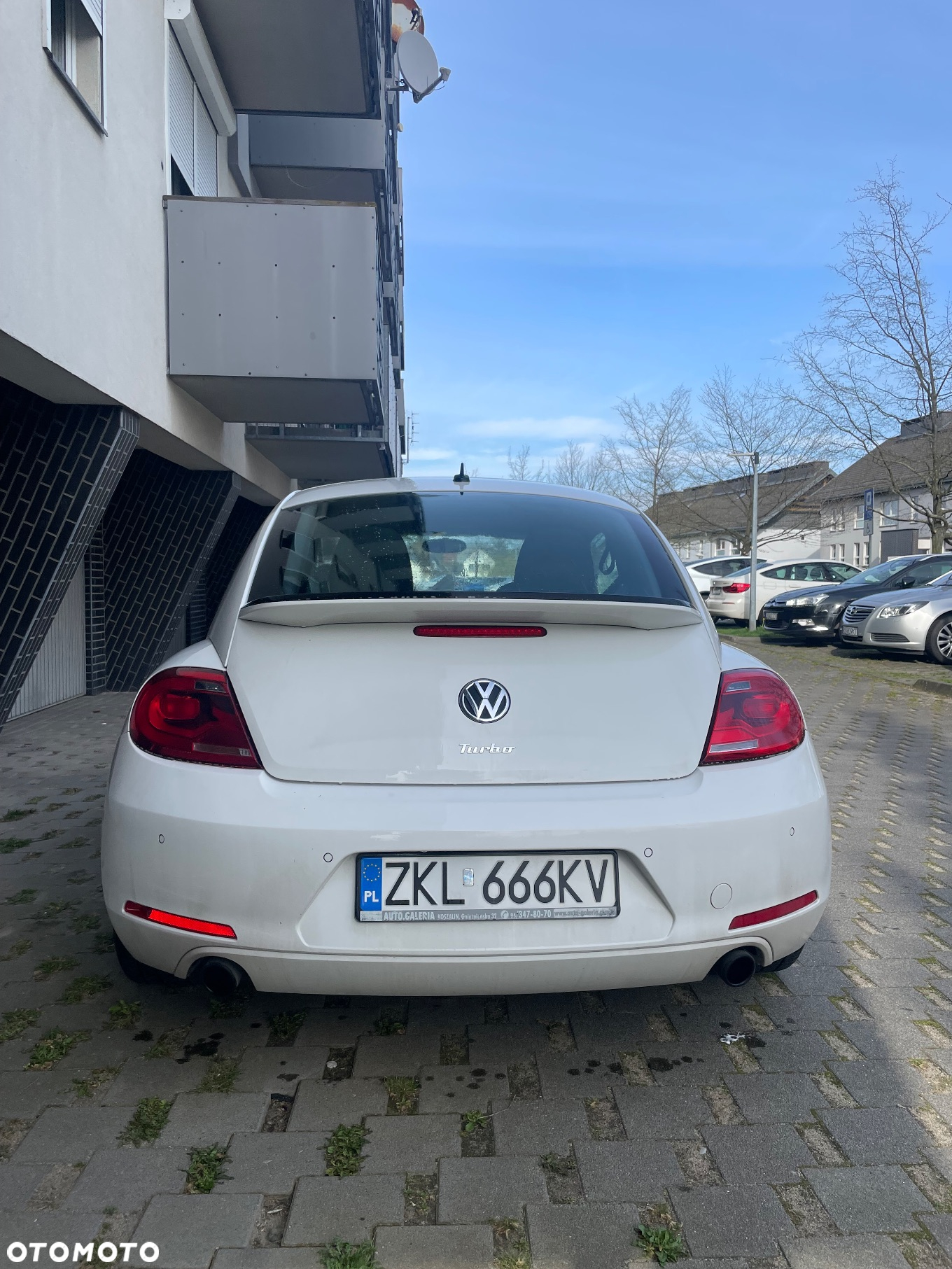 Volkswagen Beetle 2.0 TSI Sport DSG - 2