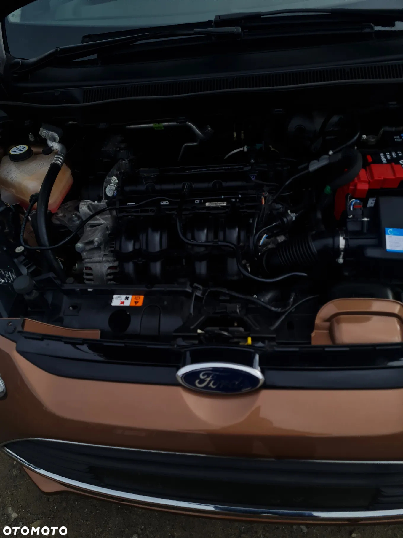 Ford B-MAX - 7