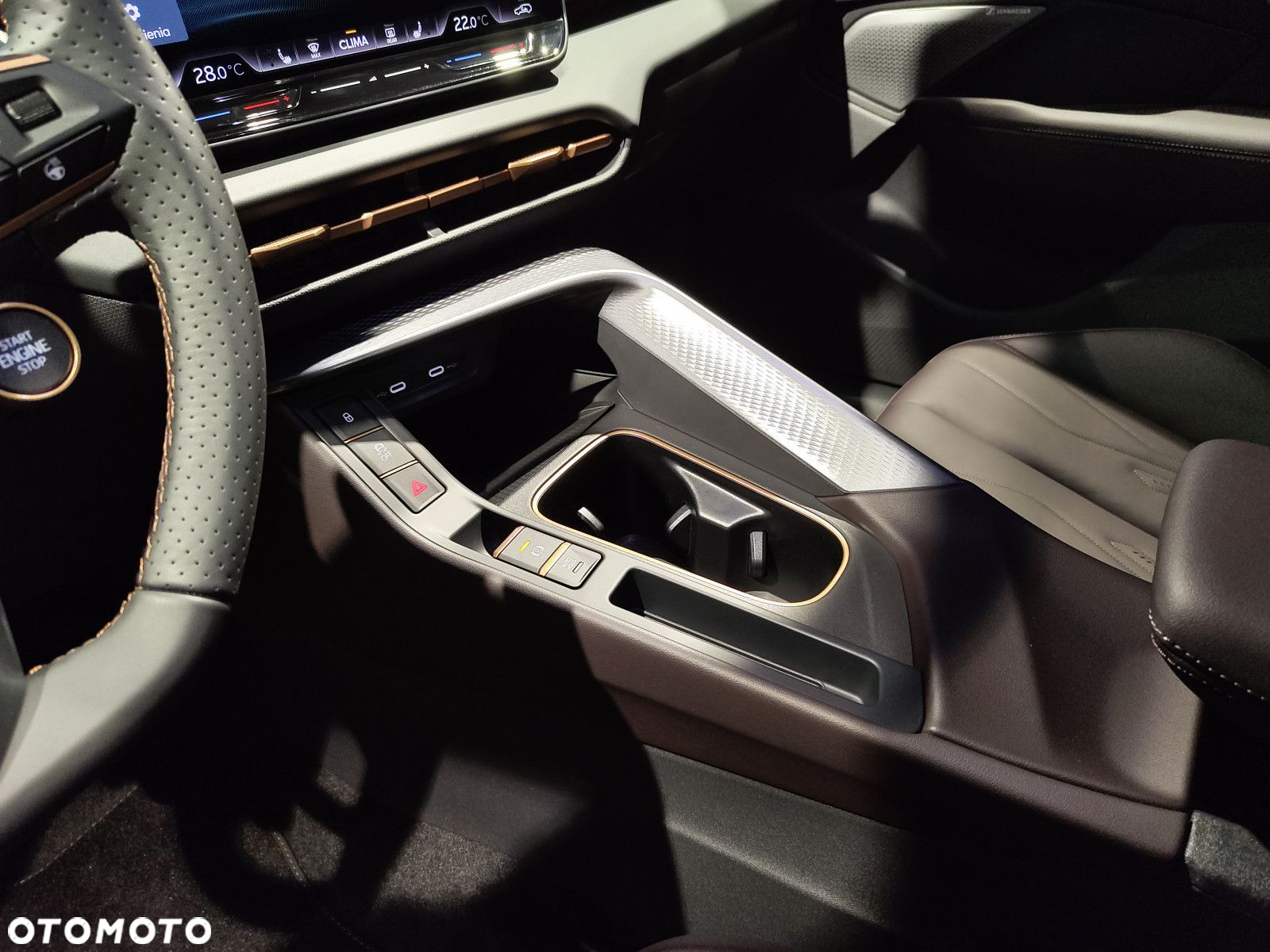 Cupra Terramar - 16