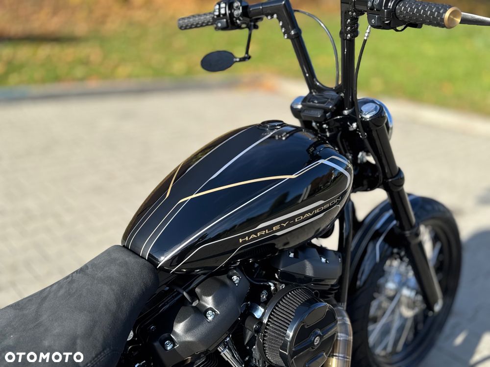 Harley-Davidson Softail Standard - 7