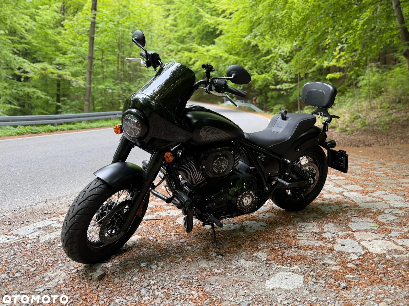 Indian Chief - 5