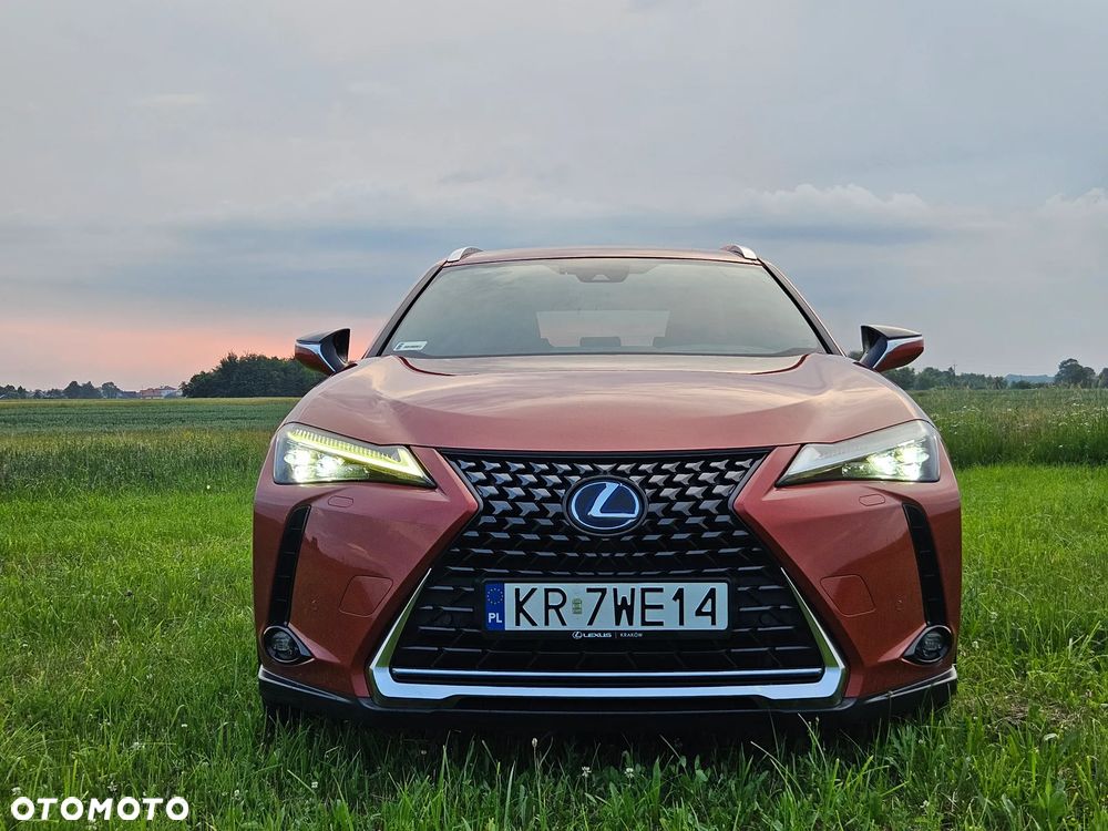 Lexus UX 250h GPF Omotenashi AWD - 7