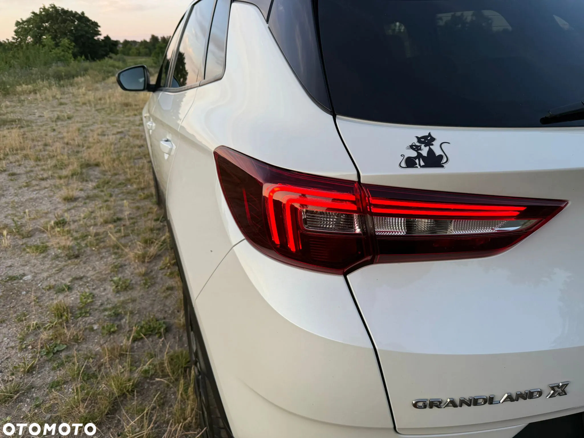Opel Grandland X 1.5 D Start/Stop Edition - 22