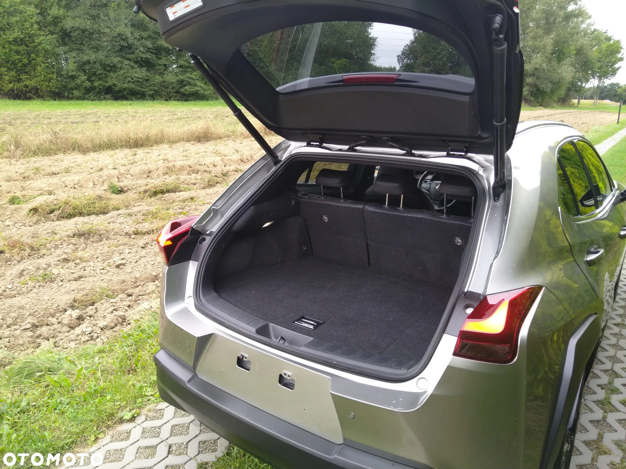 Lexus UX 250h GPF Business Edition AWD - 13