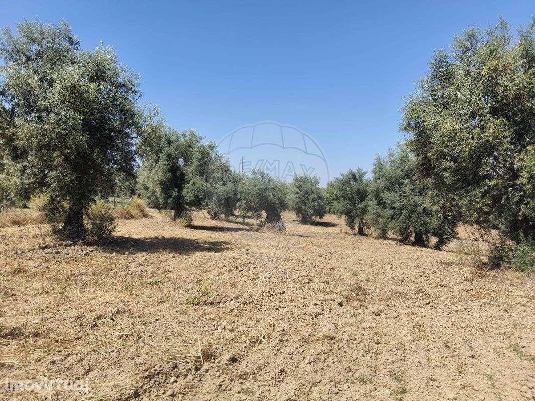 Terreno  para venda - Grande imagem: 5/6