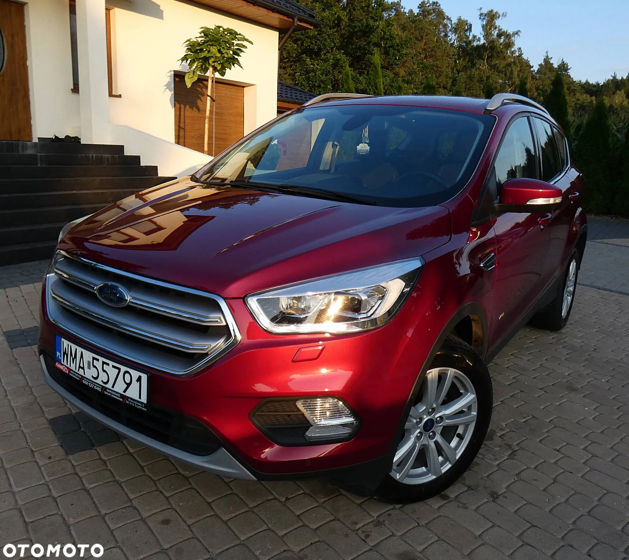 Ford Kuga 1.5 EcoBoost AWD Titanium ASS - 11