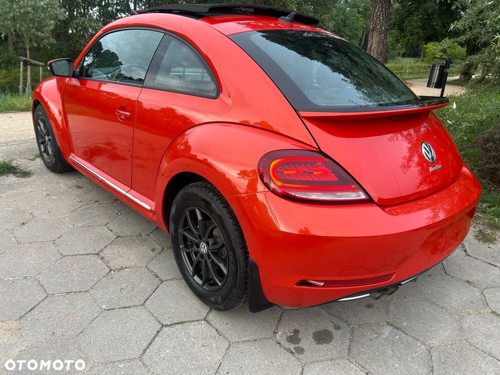 Volkswagen Beetle - 5
