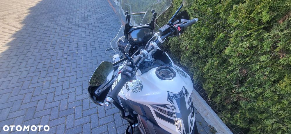 Triumph Tiger - 6