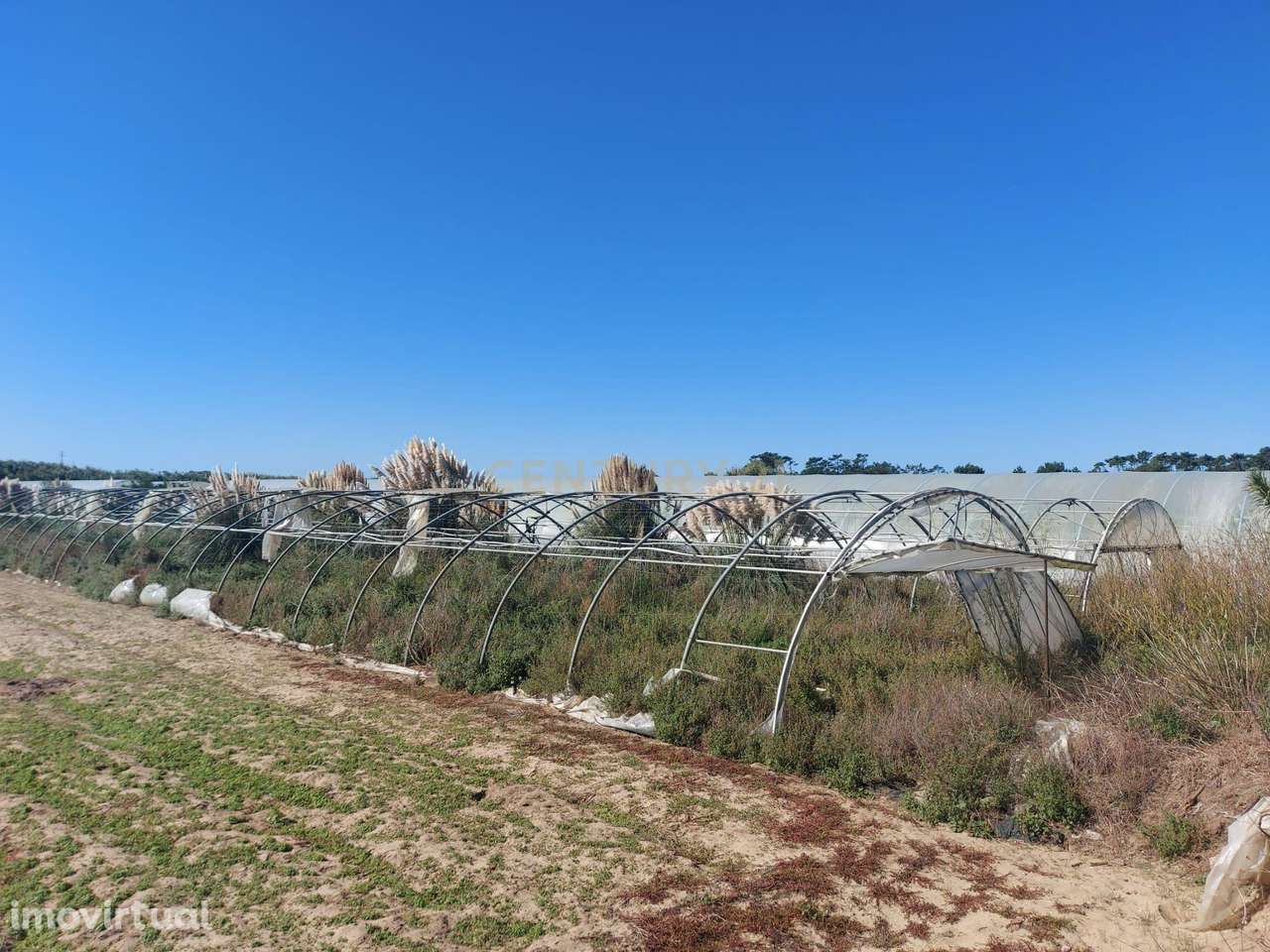 Terreno Rustico em Estela Maninho - Grande imagem: 4/7