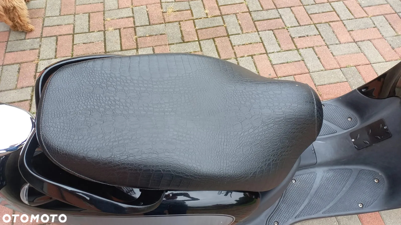 Aprilia Mojito - 14