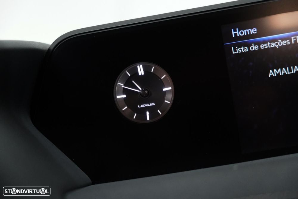Lexus UX 300e Luxury - 12