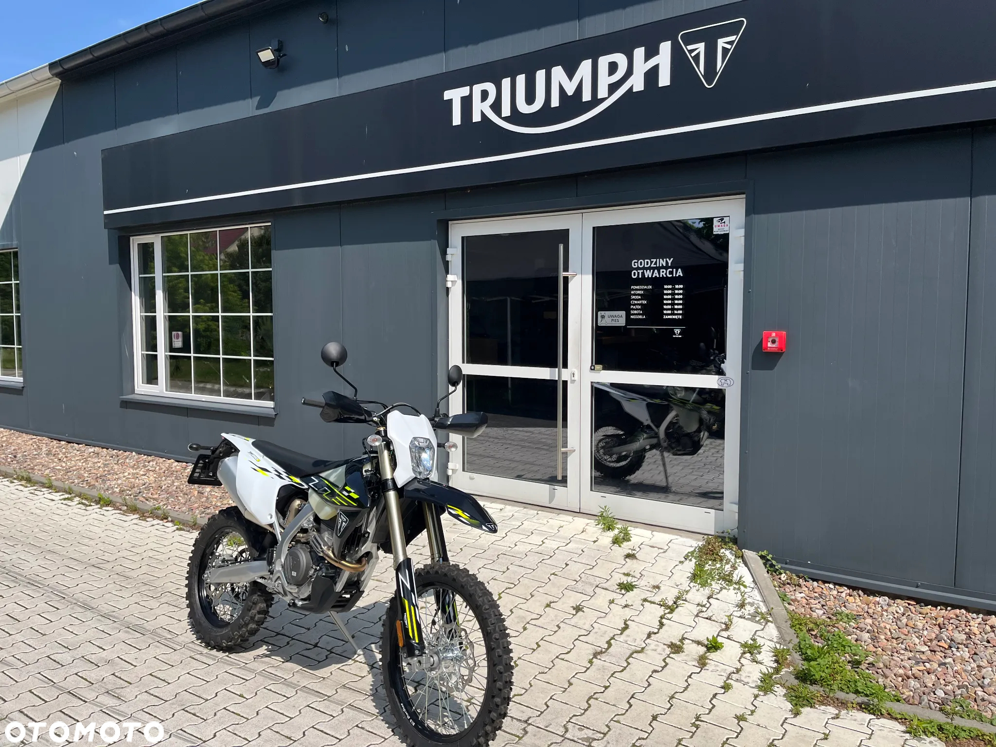 Triumph Inny