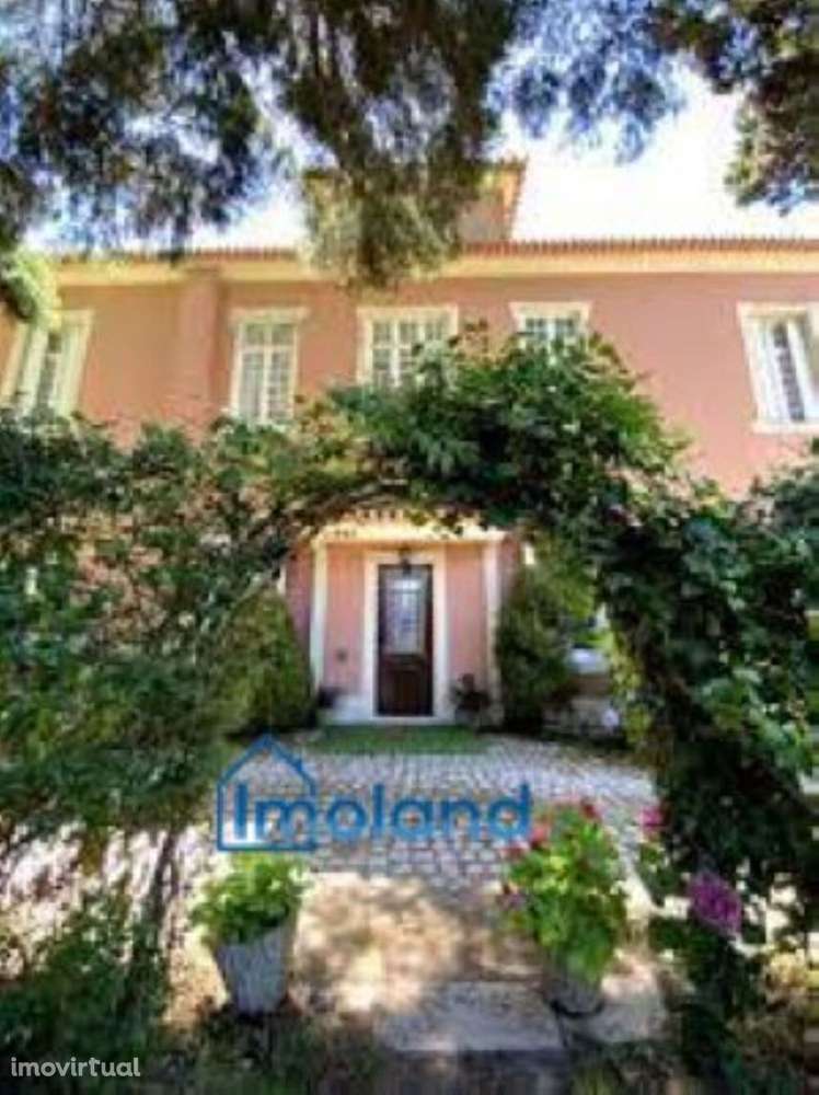 Excelente Quinta na região da Bairrada - Grande imagem: 4/25