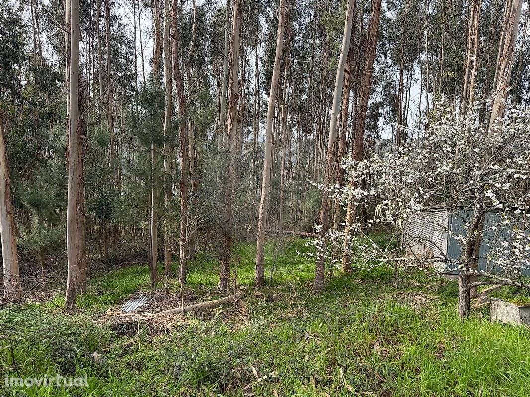 Industrial  para venda - Grande imagem: 5/5