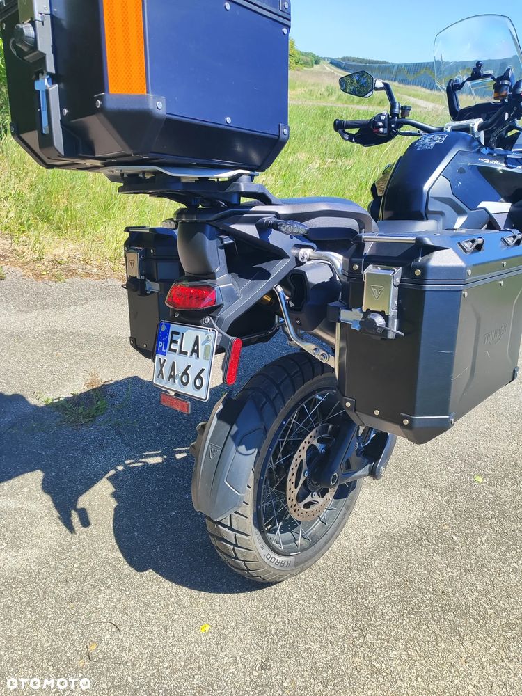Triumph Tiger - 15