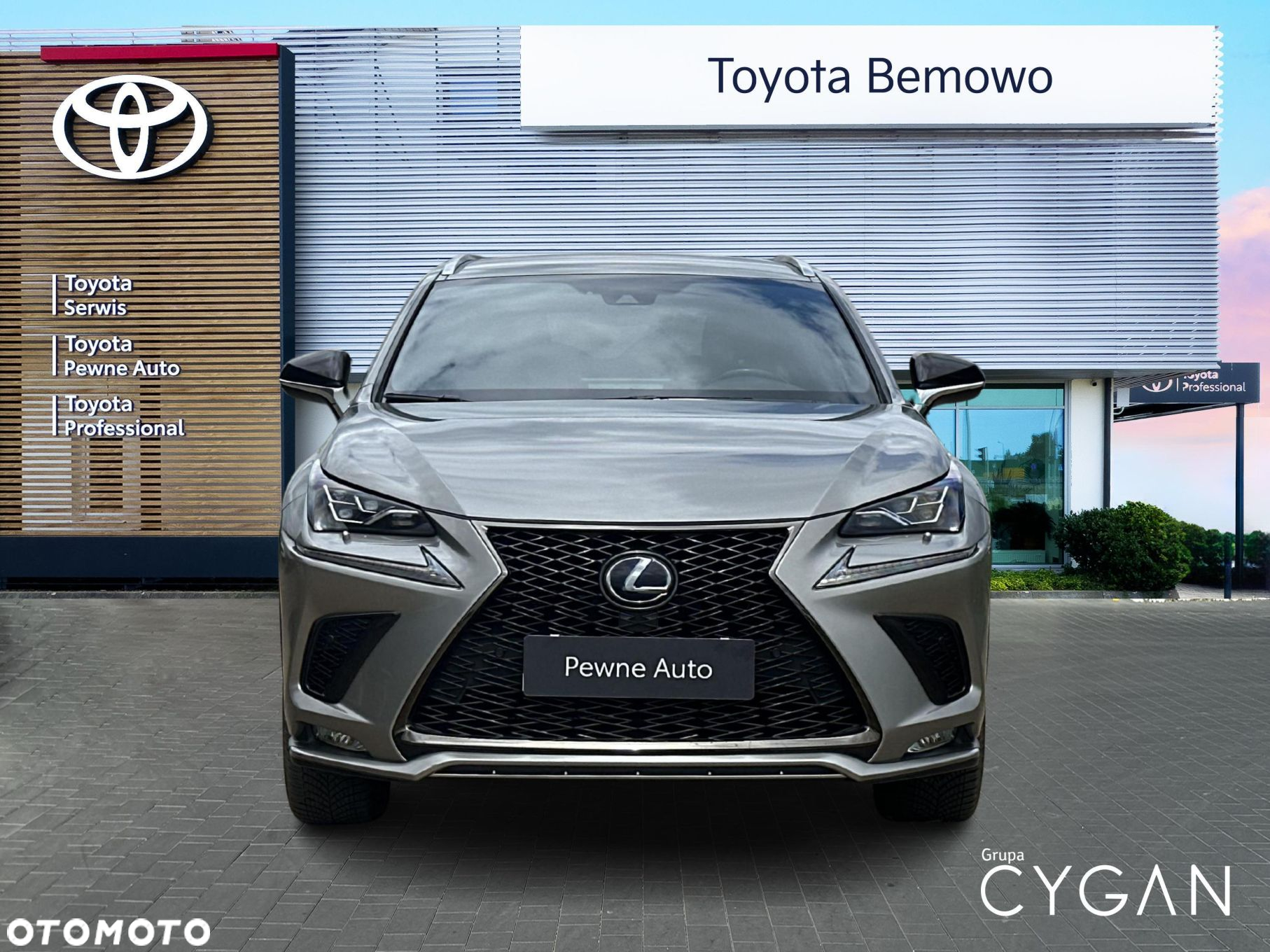 Lexus NX - 8