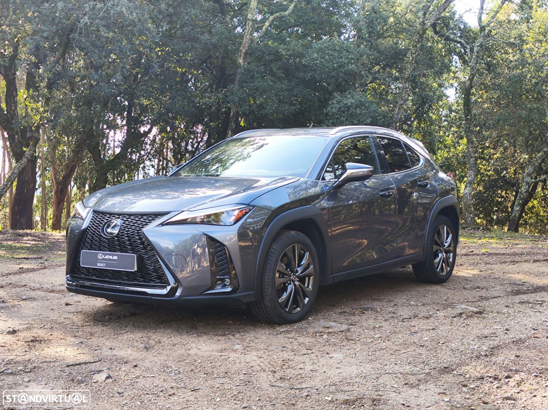Lexus ux-250h Sport (Ecrã 12.3) - 1