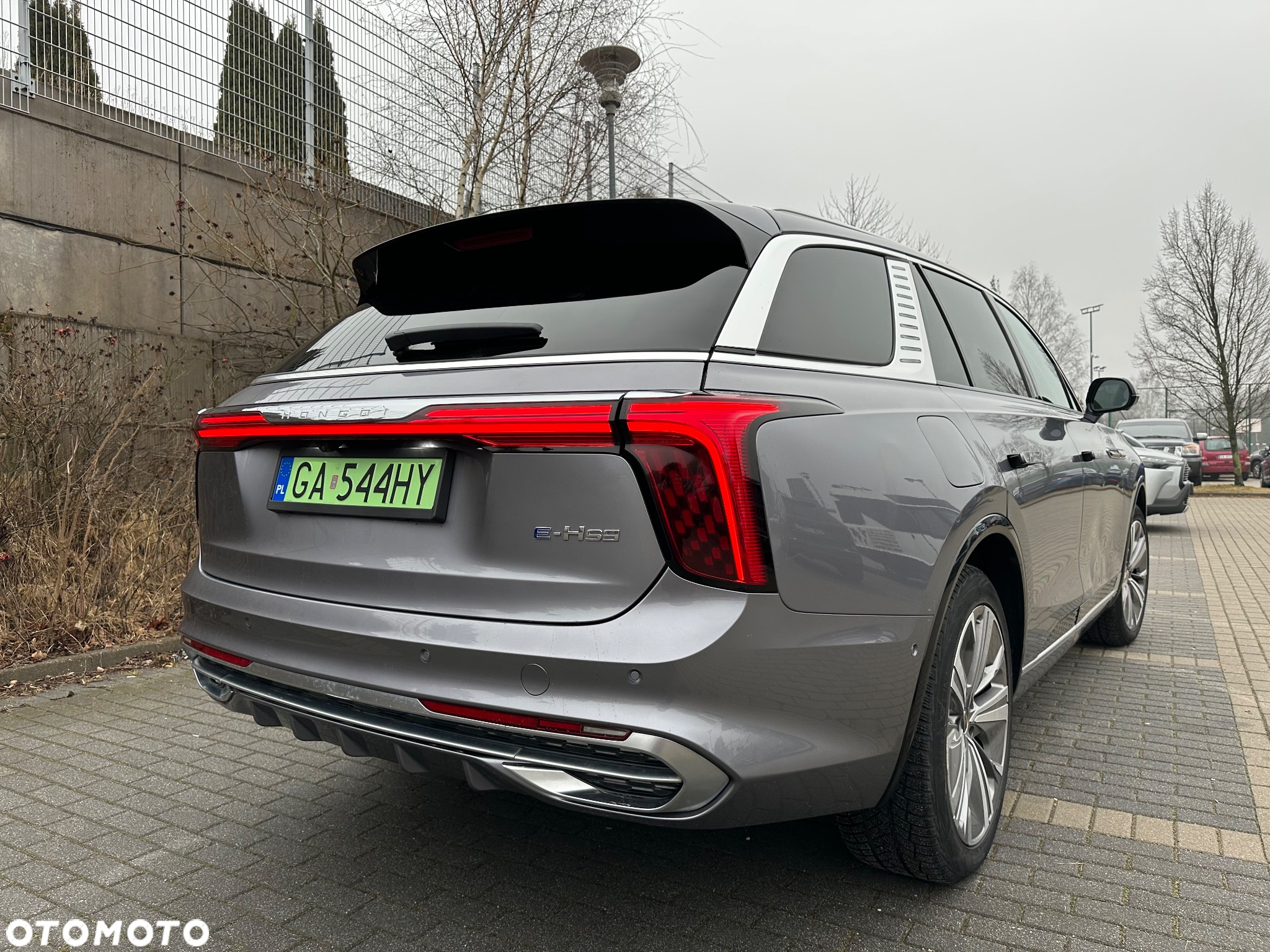 Hongqi E-HS9 - 7