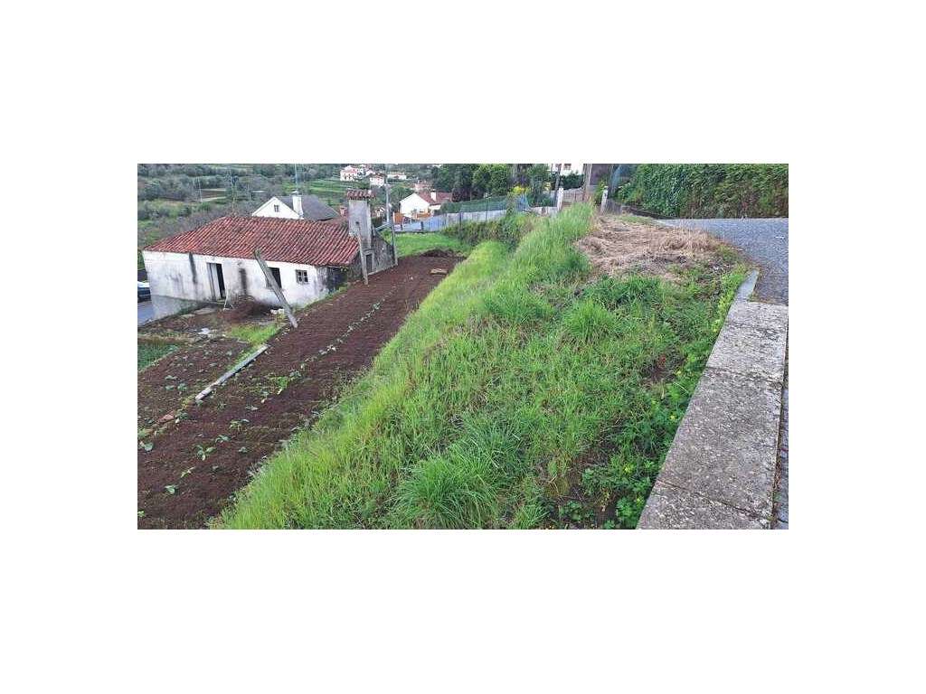 Moradia em pedra, em Serdedelo - Grande imagem: 4/12