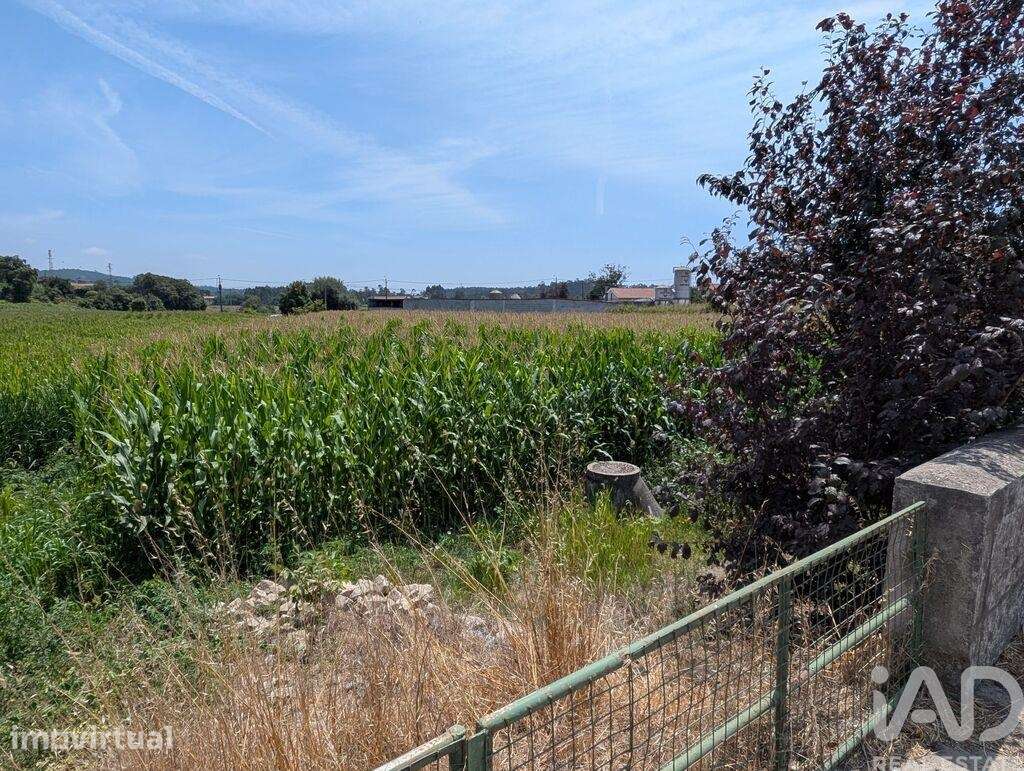 Terreno Agrícola em Rio Mau e Arcos - Grande imagem: 2/5