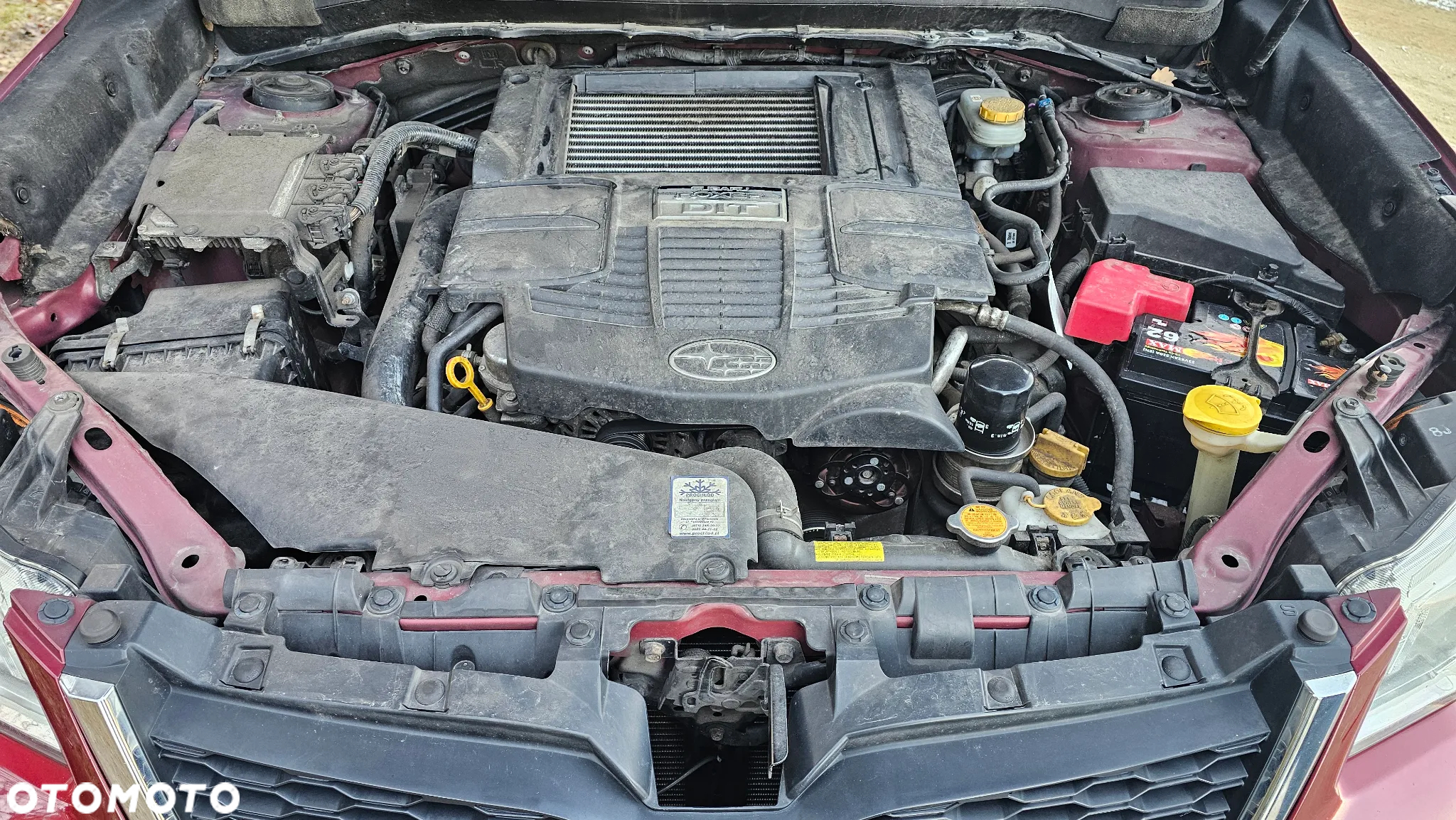 Subaru Forester - 8
