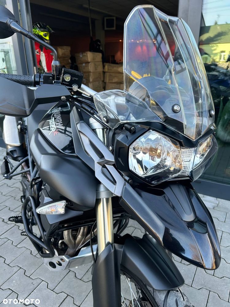 Triumph Tiger - 25