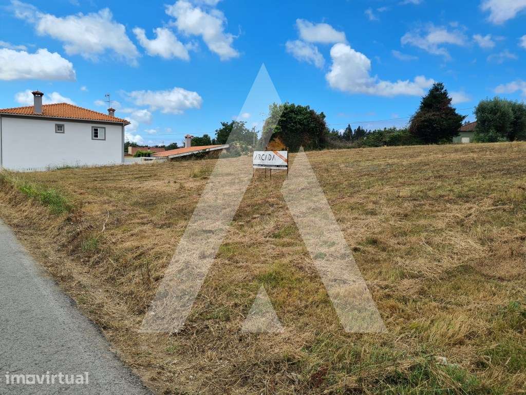 Terreno para Construção no Beco - Macinhata do Vouga - Grande imagem: 3/13
