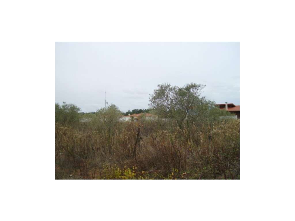 Terreno vista serra - Grande imagem: 5/5