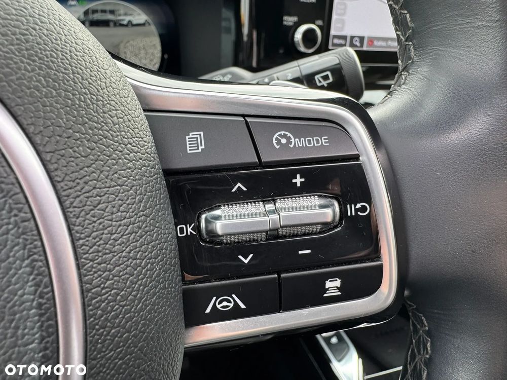 Kia Sorento - 17