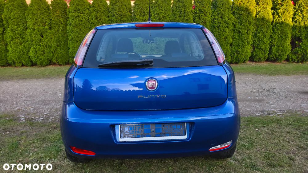 Fiat Punto - 5
